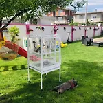 Mona Apartament *