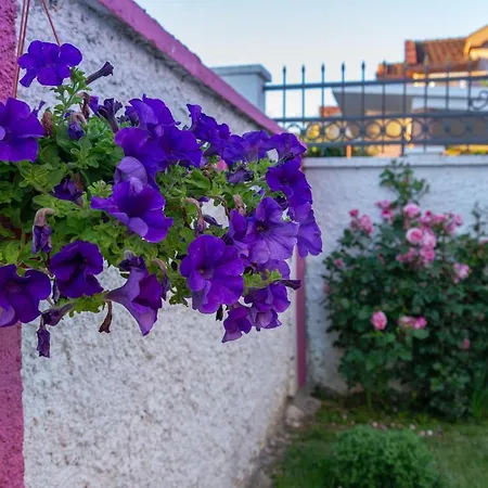Mona Podgorica